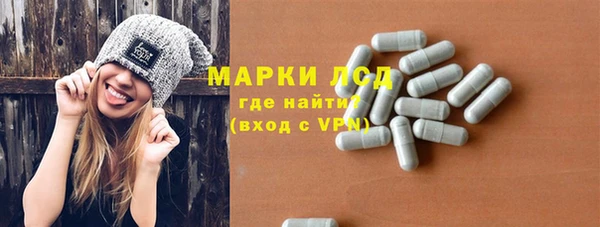 PSILOCYBIN Белокуриха