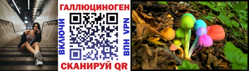 Псилоцибиновые грибы ЛСД  дарнет шоп  Рудня 
