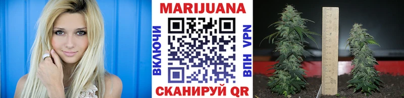 МЕГА ссылка  Рудня  Бошки марихуана Ganja  где найти наркотики 